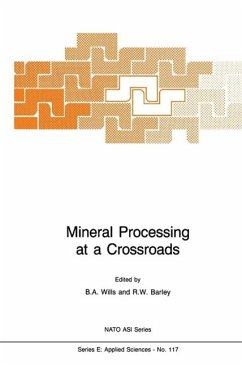 Mineral Processing at a Crossroads (eBook, PDF)