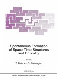 Spontaneous Formation of Space-Time Structures and Criticality (eBook, PDF)