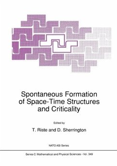 Cover Spontaneous Formation of Space-Time Structures and Criticality (eBook, PDF)
