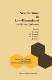 New Horizons in Low-Dimensional Electron Systems (eBook, PDF)