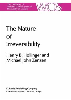 Cover The Nature of Irreversibility (eBook, PDF)