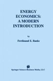 Energy Economics: A Modern Introduction (eBook, PDF)