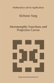 Meromorphic Functions and Projective Curves (eBook, PDF)