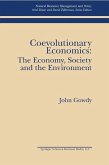 Coevolutionary Economics: The Economy, Society and the Environment (eBook, PDF)