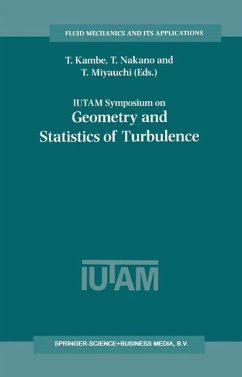 Cover IUTAM Symposium on Geometry and Statistics of Turbulence (eBook, PDF)