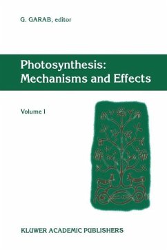 Cover Photosynthesis: Mechanisms and Effects (eBook, PDF)