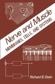 Nerve and Muscle (eBook, PDF)