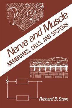 Cover Nerve and Muscle (eBook, PDF)