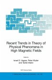 Recent Trends in Theory of Physical Phenomena in High Magnetic Fields (eBook, PDF)