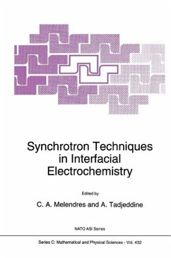 Cover Synchrotron Techniques in Interfacial Electrochemistry (eBook, PDF)