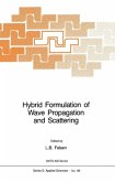 Hybrid Formulation of Wave Propagation and Scattering (eBook, PDF)
