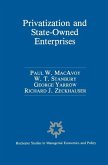 Privatization and State-Owned Enterprises (eBook, PDF)