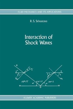 Cover Interaction of Shock Waves (eBook, PDF)
