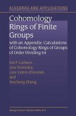 Cohomology Rings of Finite Groups (eBook, PDF)