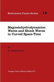Magnetohydrodynamics: Waves and Shock Waves in Curved Space-Time (eBook, PDF)