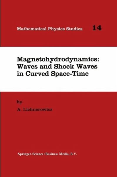 Magnetohydrodynamics: Waves and Shock Waves in Curved Space-Time (eBook, PDF)