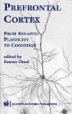 Prefrontal Cortex (eBook, PDF)