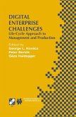 Digital Enterprise Challenges (eBook, PDF)