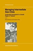 Managing Intermediate Size Cities (eBook, PDF)