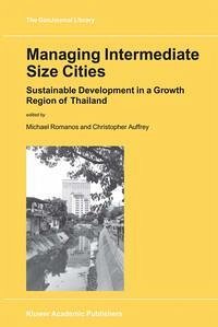 Managing Intermediate Size Cities (eBook, PDF)