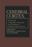 Comparative Structure and Evolution of Cerebral Cortex, Part I (eBook, PDF)