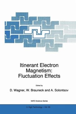 Itinerant Electron Magnetism: Fluctuation Effects (eBook, PDF)