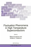 Fluctuation Phenomena in High Temperature Superconductors (eBook, PDF)