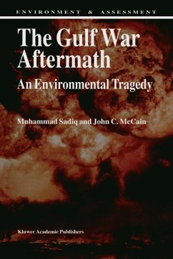 Cover The Gulf War Aftermath (eBook, PDF)