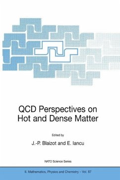 QCD Perspectives on Hot and Dense Matter (eBook, PDF)