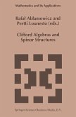 Clifford Algebras and Spinor Structures (eBook, PDF)