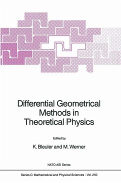 Cover Differential Geometrical Methods in Theoretical Physics (eBook, PDF)