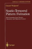 Spatio-Temporal Pattern Formation (eBook, PDF)