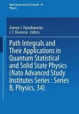 Path Integrals (eBook, PDF)