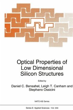Optical Properties of Low Dimensional Silicon Structures (eBook, PDF)