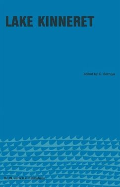 Cover Lake Kinneret (eBook, PDF)