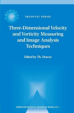 Three-Dimensional Velocity and Vorticity Measuring and Image Analysis Techniques (eBook, PDF)