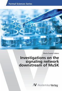 Investigations on the signaling network downstream of MuSK - Suarez Cubero, Marta