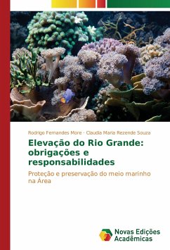 Elevação do Rio Grande: obrigações e responsabilidades - Fernandes More, Rodrigo;Rezende Souza, Claudia Maria