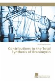 Contributions to the Total Synthesis of Branimycin