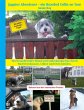 Juppies Abenteuer - ein Bearded Collie... - Bild 1