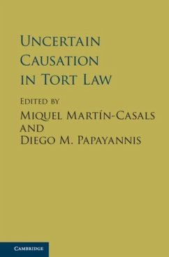 Uncertain Causation in Tort Law (eBook, PDF)