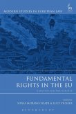 Fundamental Rights in the EU (eBook, ePUB) Fundamental Rights in the EU (eBook, ePUB)