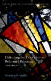 Defending the Trinity in the Reformed Palatinate (eBook, ePUB)