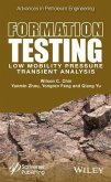 Formation Testing (eBook, PDF)