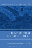 Fundamental Rights in the EU (eBook, PDF)