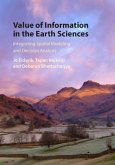 Value of Information in the Earth Sciences (eBook, PDF)