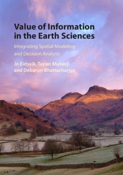 Value of Information in the Earth Sciences (eBook, PDF) - Eidsvik, Jo