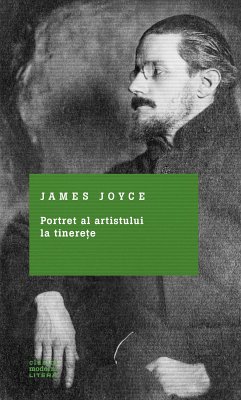 Portret al artistului la tinerețe (eBook, ePUB) - Joyce, James