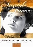 Bonnard Szilveszter vétke (eBook, ePUB)