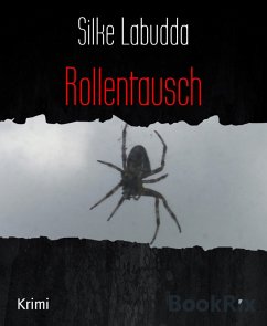 Rollentausch (eBook, ePUB) - Labudda, Silke